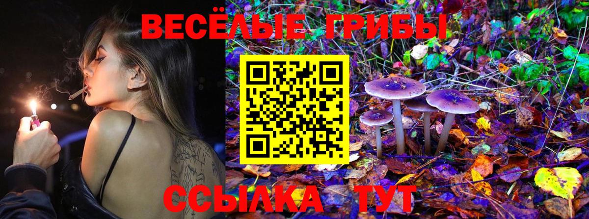 Псилоцибиновые грибы ЛСД  Вход с VPN  Псилоцибиновые грибы Magic Shrooms  Жигулёвск 